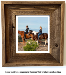 horse trail rides near me in Clemson University, South Carolina